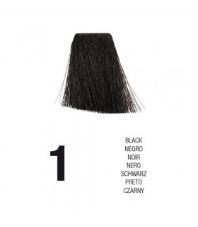 Coloration Postquam 60 et 100 ml
