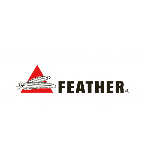 Lames de rasoir Feather Platinum Hi-Stainless * 10