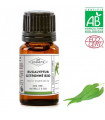 HE Eucalyptus citronné Bio 10ml