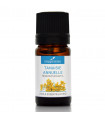 TANAISIE ANNUELLE - Huile essentielle BIO 10 ml Compagnie des Sens