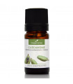 HE Cardamome Bio 5ml