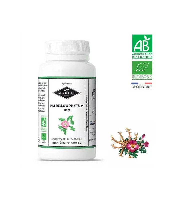 Gélules Harpagophytum BIO x300