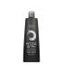 Shampoing ARCTIC GRAY Color Reflexion 300ml BES