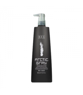 Masque ARCTIC GRAY Color Reflexion 300ml BES