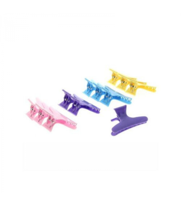 Lot de 12 Pinces Couleurs Larges