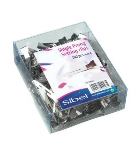 Pinces mise en plis 120pcs