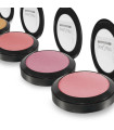 Poudre Blush 10 gr Postquam.