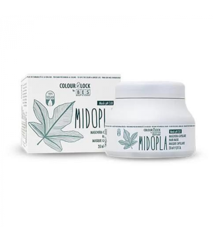 Masque Colour Lock Bes 500 ml