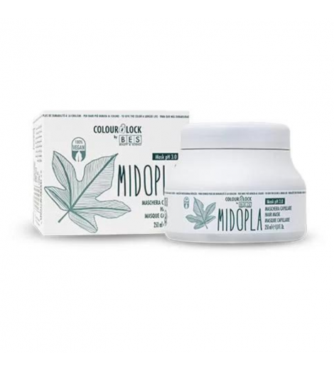 Masque Colour Lock Bes 500 ml