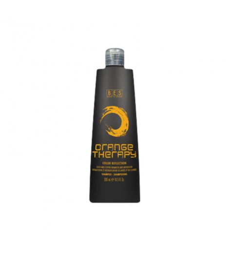 Shampoing COOL-IT Color Reflexion 300ml BES